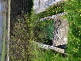 image of grave number 961309